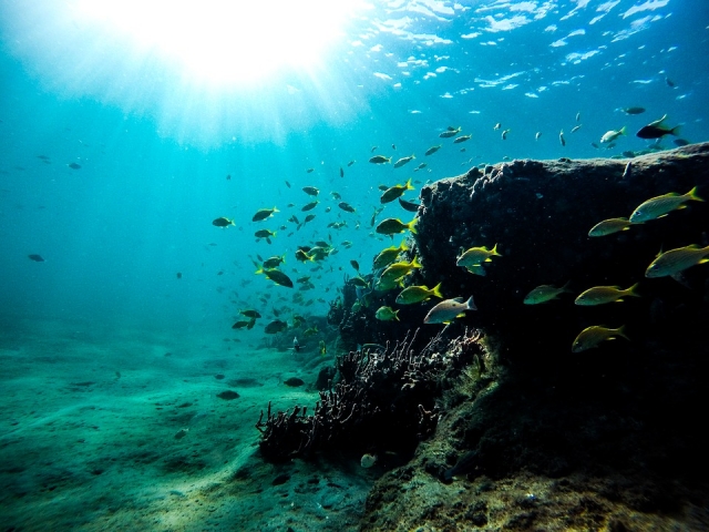 Haz snorkel con nosotros